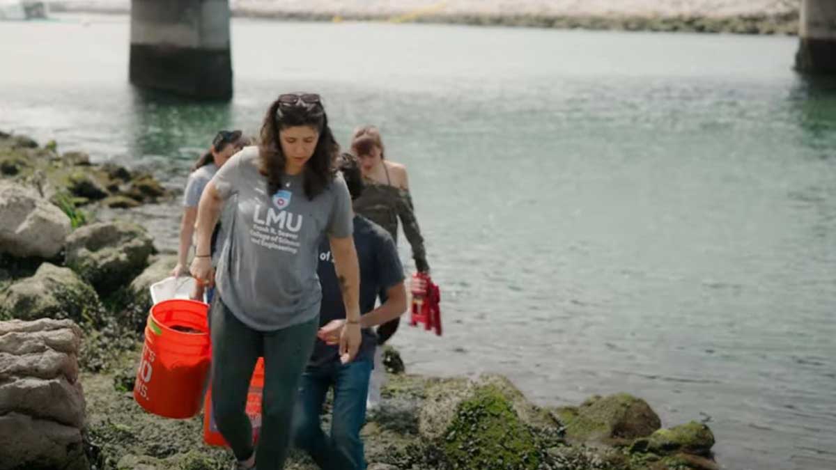several biology students walking along the waters edge of ballona creek, with a bucket of marine mussels
